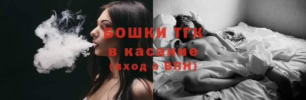 гидра Алексин