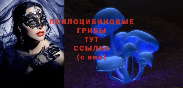 гидра Алексин