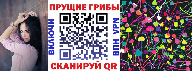Псилоцибиновые грибы Cubensis  закладка  Карабулак 
