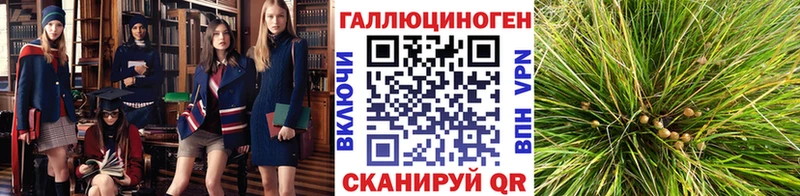 Псилоцибиновые грибы прущие грибы Карабулак
