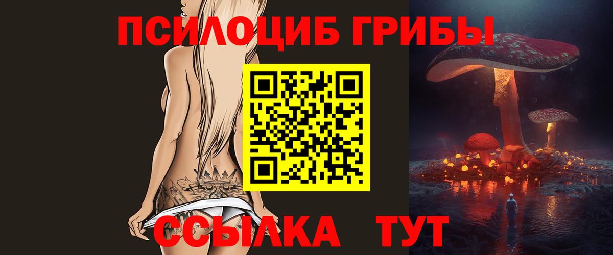 наркота  Галлюциногенные грибы Psilocybe  Вход с VPN  Карабулак 